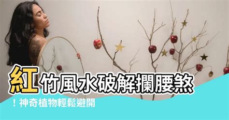 紅竹風水